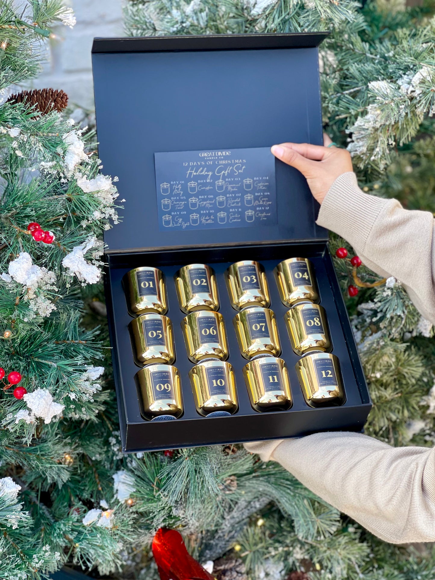 12 Days of Christmas Holiday Gift Set