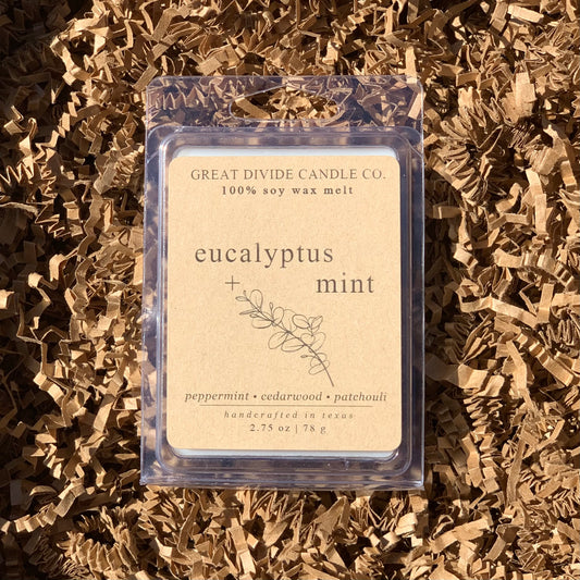 EUCALYPTUS + MINT WAX MELT